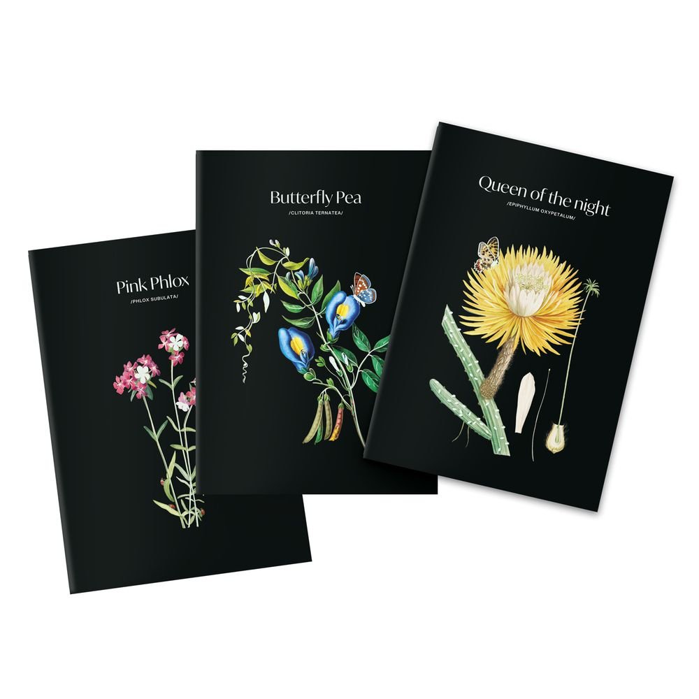 PACK 3 CUADERNOS A5 SLEEPLESS GARDEN