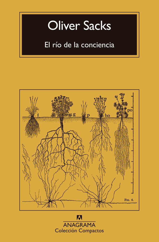El río de la conciencia