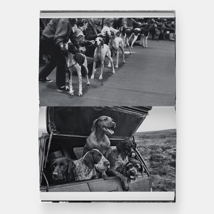 Vida de Perros