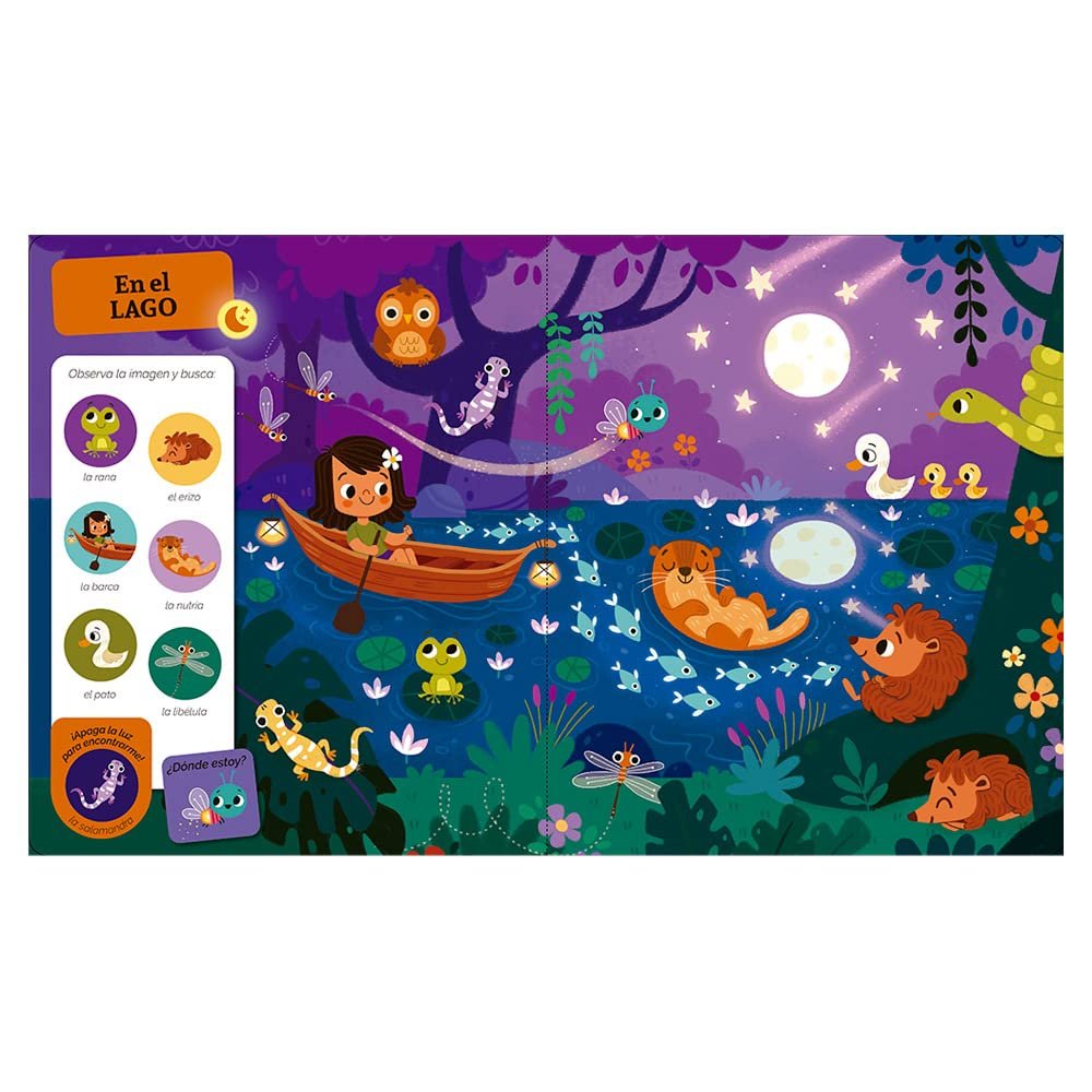 Busca y Encuentra para los más pequeños. Qué brilla en la noche