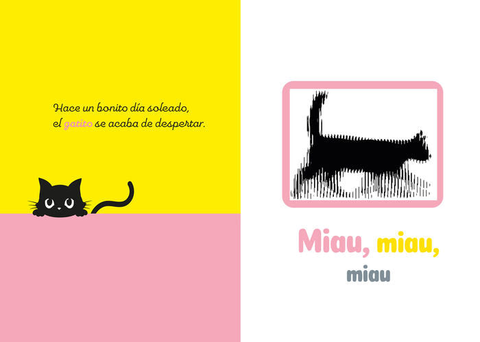 Gatito