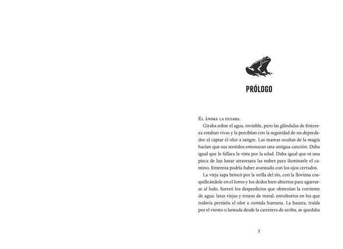 Indomables 1. El despertar de la magia