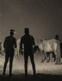SACA 1504 (español)