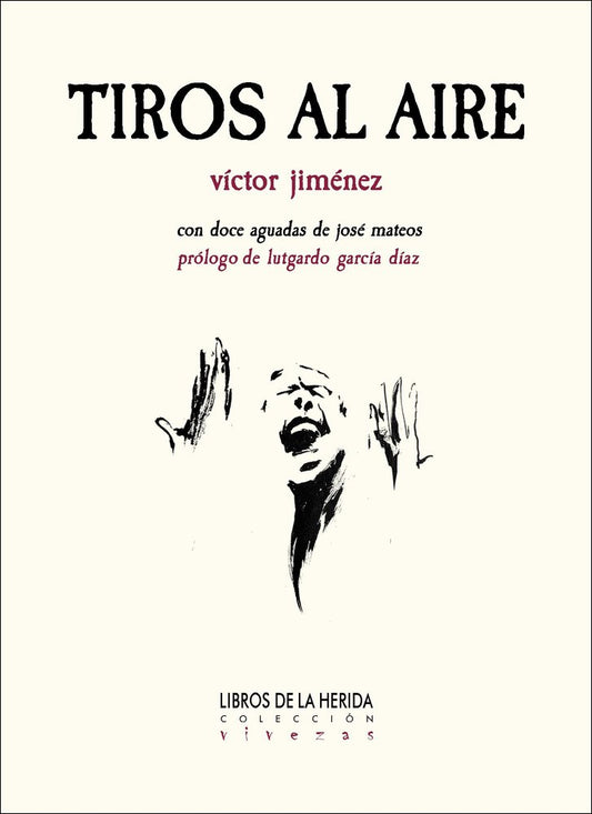 Tiros al aire