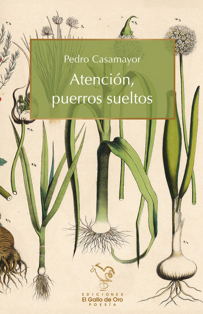 Atencin, puerros sueltos