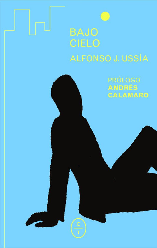 Bajo cielo