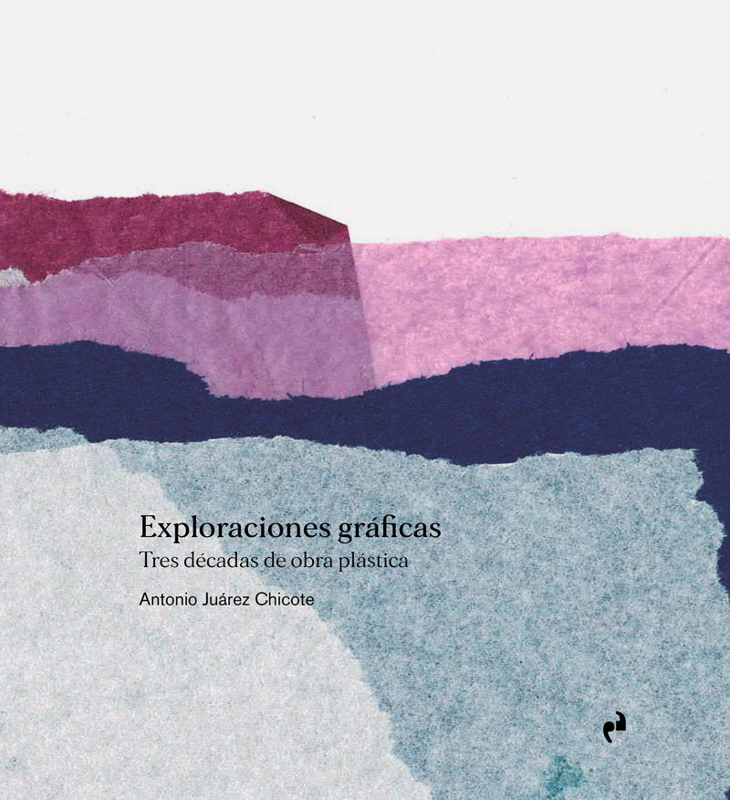 EXPLORACIONES GRAFICAS