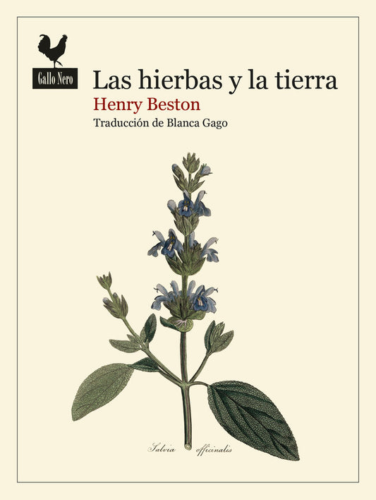 Las hierbas y la tierra