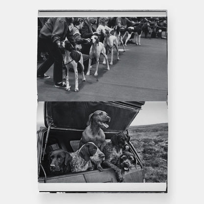 Vida de Perros