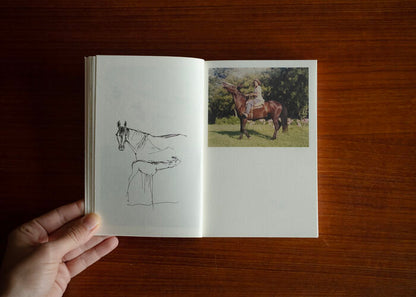 POR QUE SON TAN LINDOS LOS CABALLOS