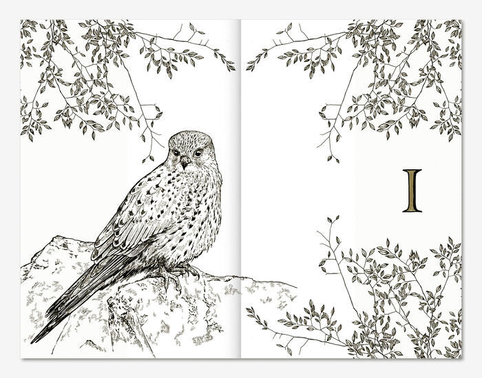Hamnet (edición ilustrada)