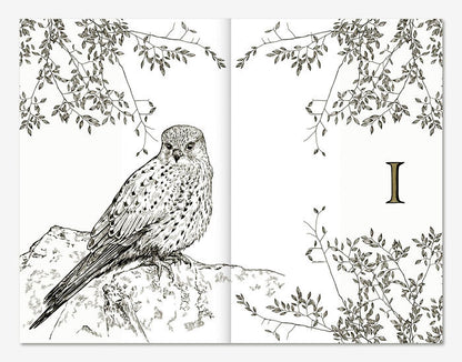Hamnet (edición ilustrada)