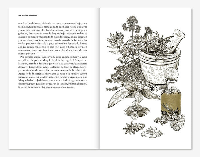 Hamnet (edición ilustrada)