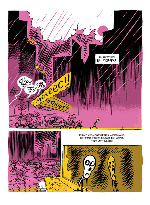 Anatomía de un esqueleto