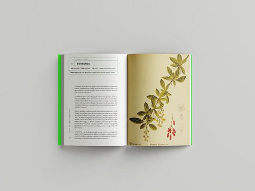 Álbum de Plantas Prohibidas