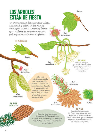 Vive la naturaleza. El bosque