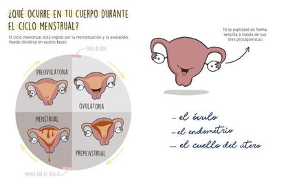 La regla mola