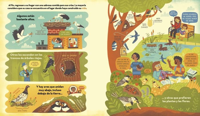 ¿Qué esconde el nido de un pájaro?
