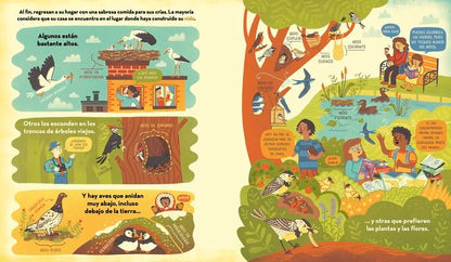 ¿Qué esconde el nido de un pájaro?