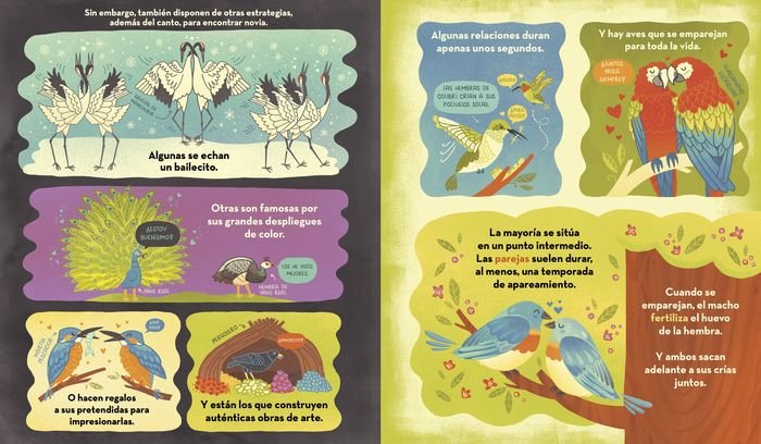 ¿Qué esconde el nido de un pájaro?