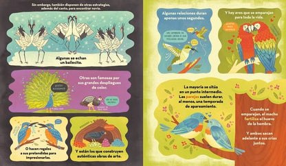 ¿Qué esconde el nido de un pájaro?
