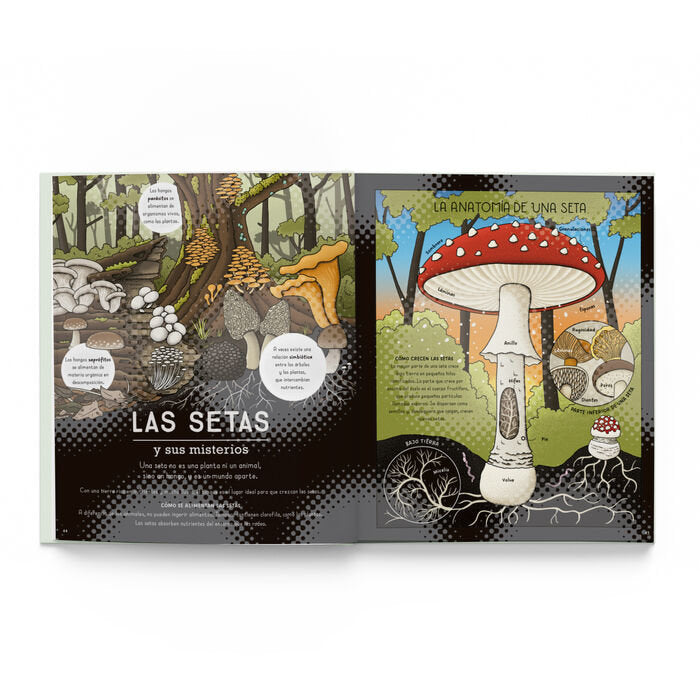 La Naturaleza y sus misterios