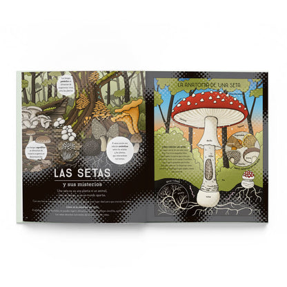 La Naturaleza y sus misterios