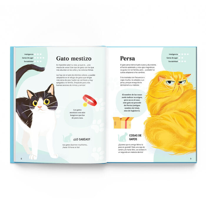 Tus Mejores amigos