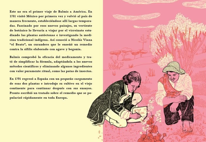 La vaca, el médico y el hijo del jardinero