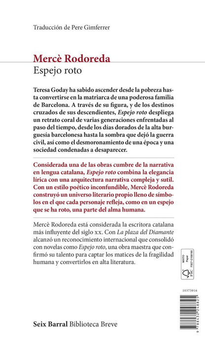 Espejo roto