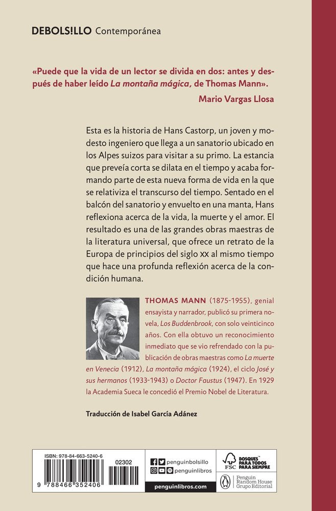 La montaña mágica