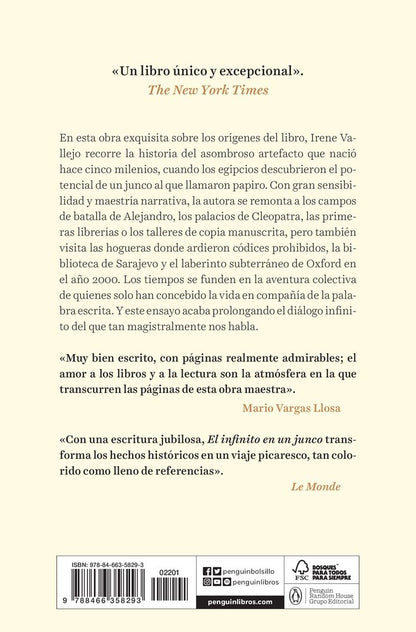 El infinito en un junco