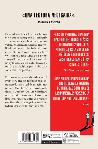 Los chicos de la Nickel