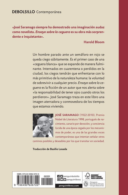Ensayo sobre la ceguera