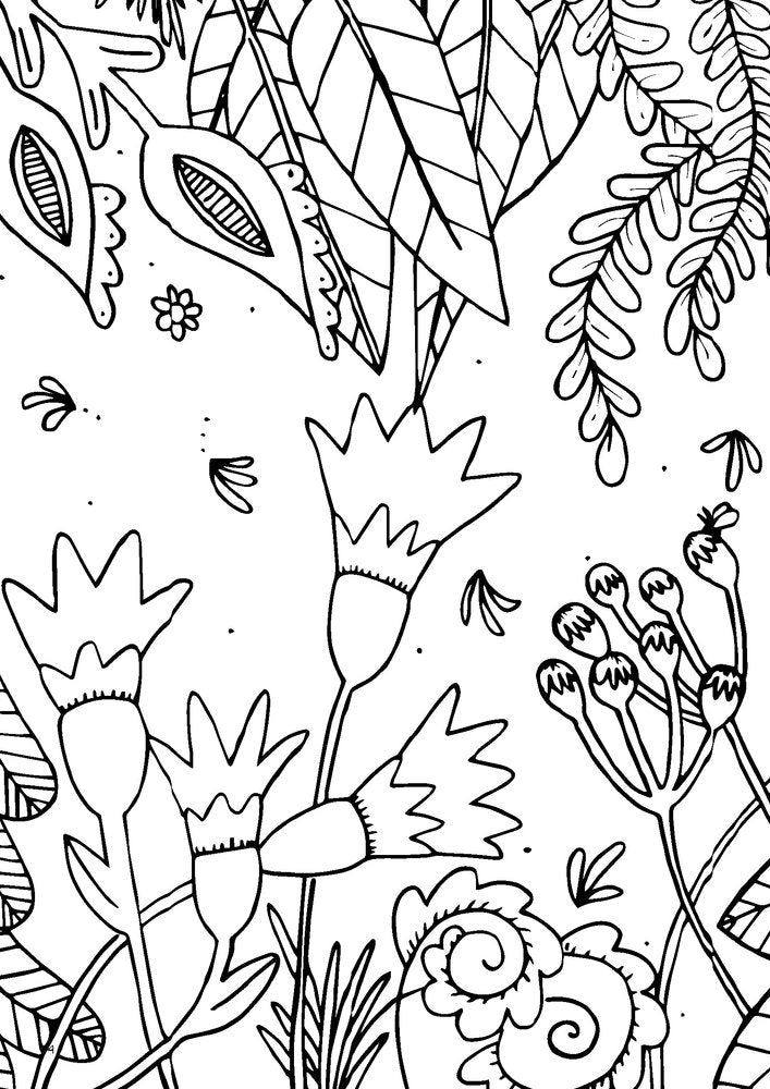 LIBRO PARA DIBUJAR Y PINTAR