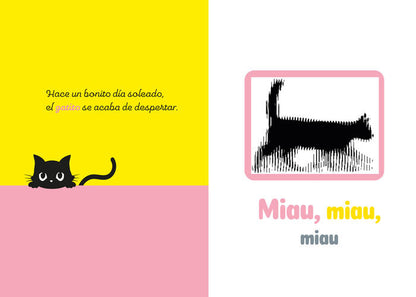 Gatito