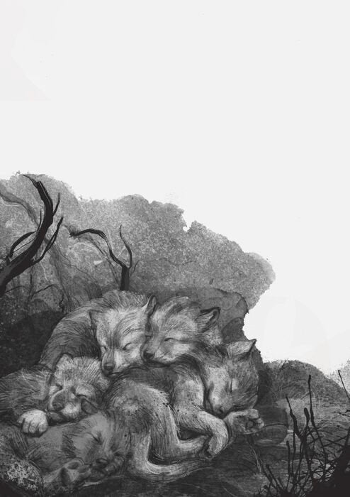 Un lobo llamado Fire