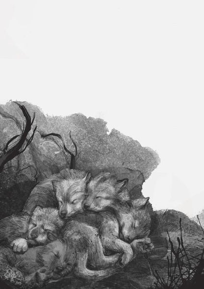 Un lobo llamado Fire