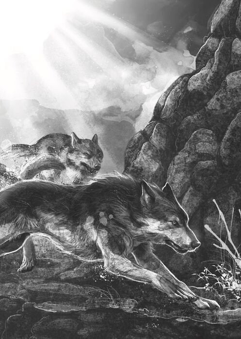 Un lobo llamado Fire