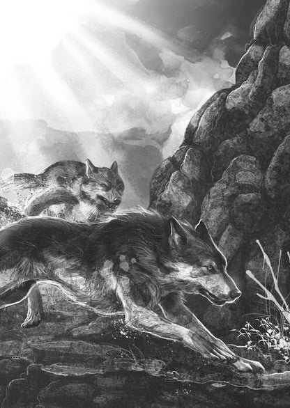 Un lobo llamado Fire