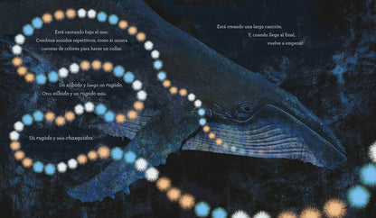 El canto de las ballenas