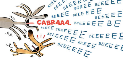 Abracadibro