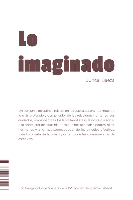 Lo imaginado
